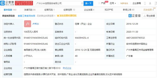 小米高層調(diào)整 王川退出廣州信息服務(wù)公司，盧偉冰接任，強化信息技術(shù)咨詢業(yè)務(wù)布局